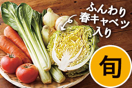 旬の野菜・フルーツ