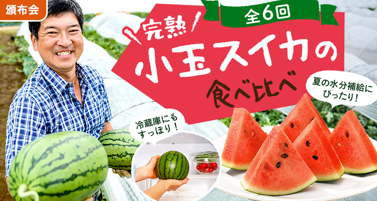 冷蔵庫にすっぽり！小玉スイカ