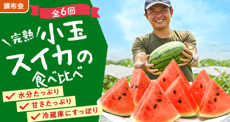 冷蔵庫にすっぽり！小玉スイカ