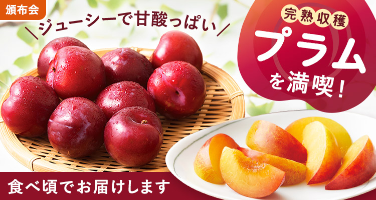 旬を味わう　プラムの頒布会