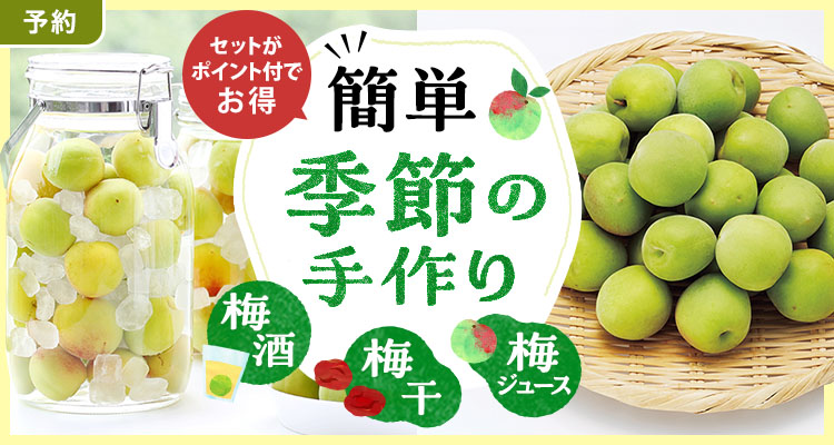 旬を楽しむ 簡単！梅しごと