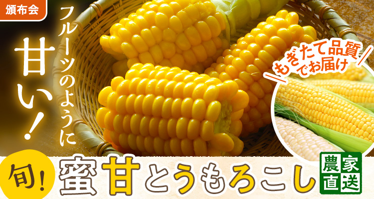 もぎたて品質！蜜甘とうもろこし