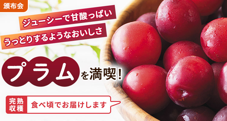 旬を味わう プラムの頒布会