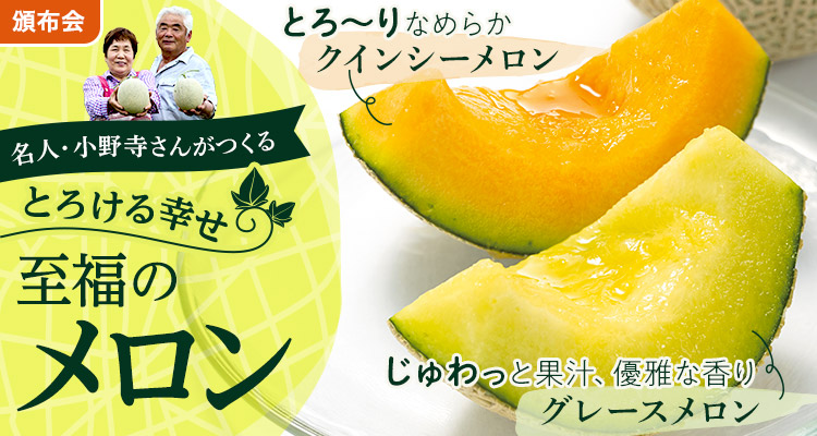 とろける幸せ至福のメロン