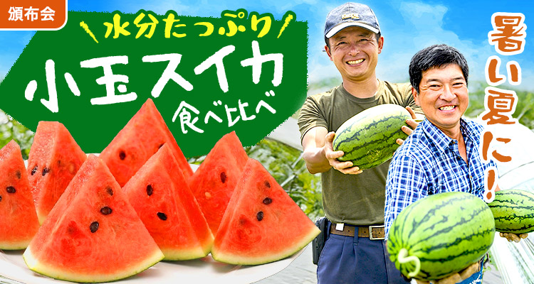 冷蔵庫にすっぽり！小玉スイカ