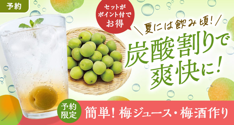 旬を楽しむ 簡単！梅しごと
