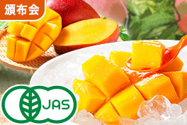 超完熟！国産・有機マンゴー