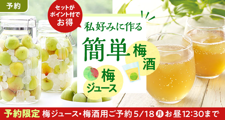 旬を楽しむ 簡単！梅しごと