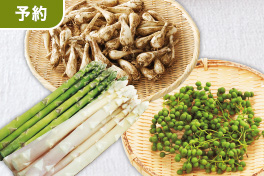 【予約】実山椒・らっきょう・アスパラ