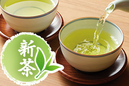 【予約】春摘み新茶＆抹茶