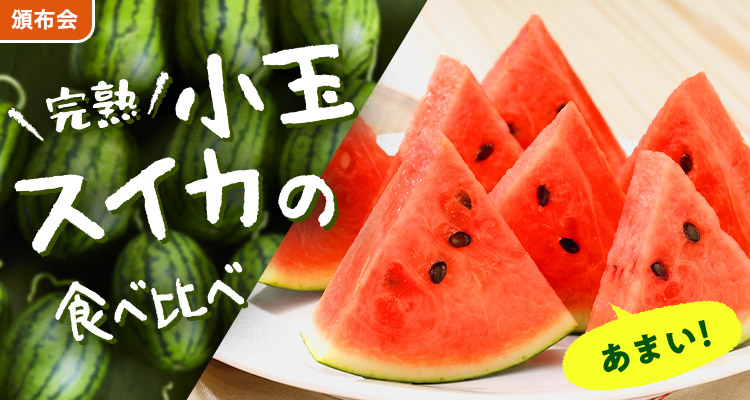 冷蔵庫にすっぽり！小玉スイカ