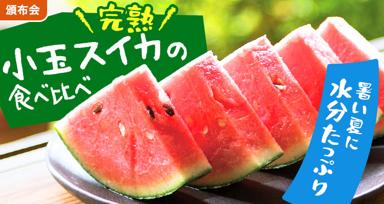 冷蔵庫にすっぽり！小玉スイカ