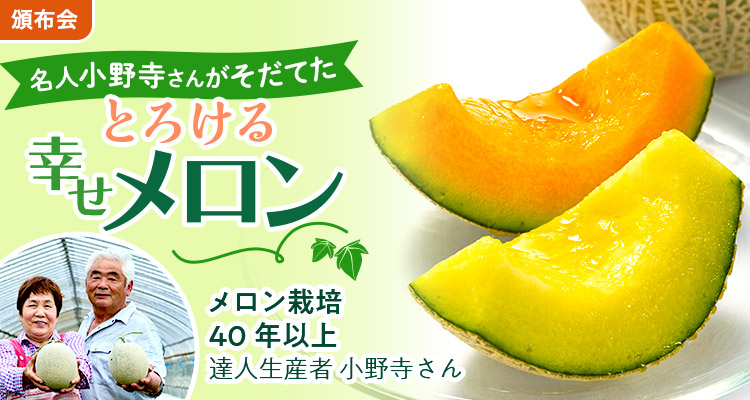 とろける幸せ至福のメロン