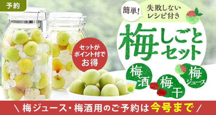 旬を楽しむ 簡単！梅しごと