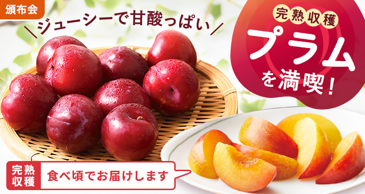 旬を味わう プラムの頒布会