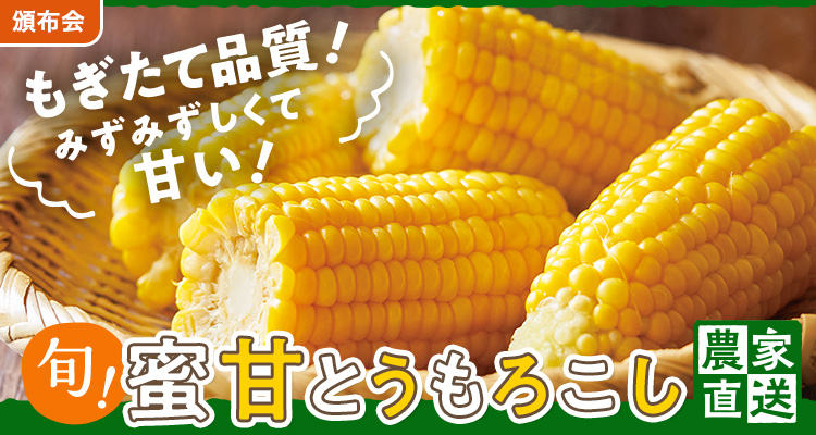 もぎたて品質！蜜甘とうもろこし