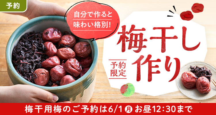 【予約】 簡単！梅干作り