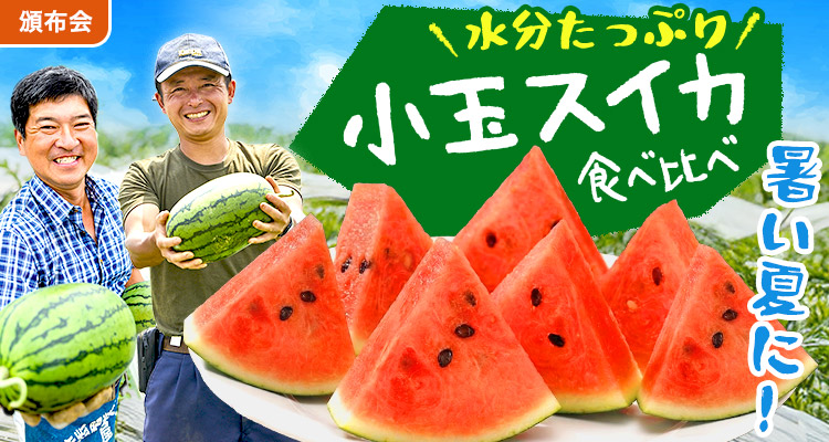 冷蔵庫にすっぽり！小玉スイカ