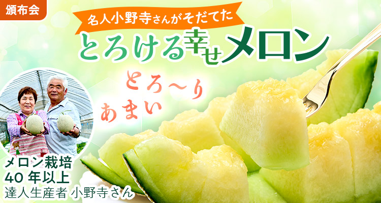 とろける幸せ！名人のメロン