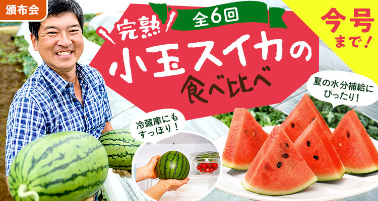 冷蔵庫にすっぽり！小玉スイカ