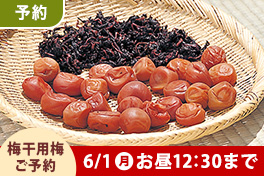【予約】 簡単！梅干作り