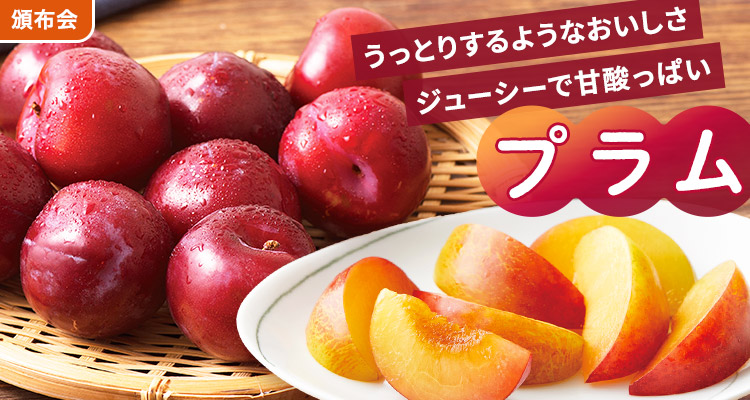 旬を味わう プラムの頒布会