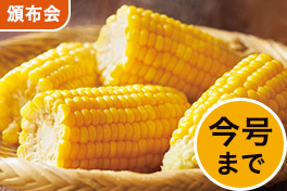 もぎたて品質！蜜甘とうもろこし