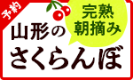 奥山さんの完熟さくらんぼ