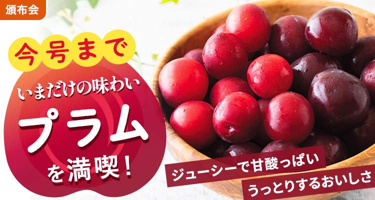 旬を味わう プラムの頒布会