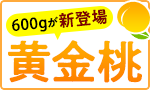 感動の甘さ！奥山さん黄金桃
