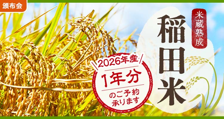 米蔵熟成 稲田米