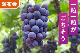 果汁あふれるぶどう食べ比べ