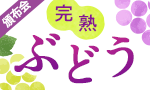 果汁あふれるぶどう食べ比べ
