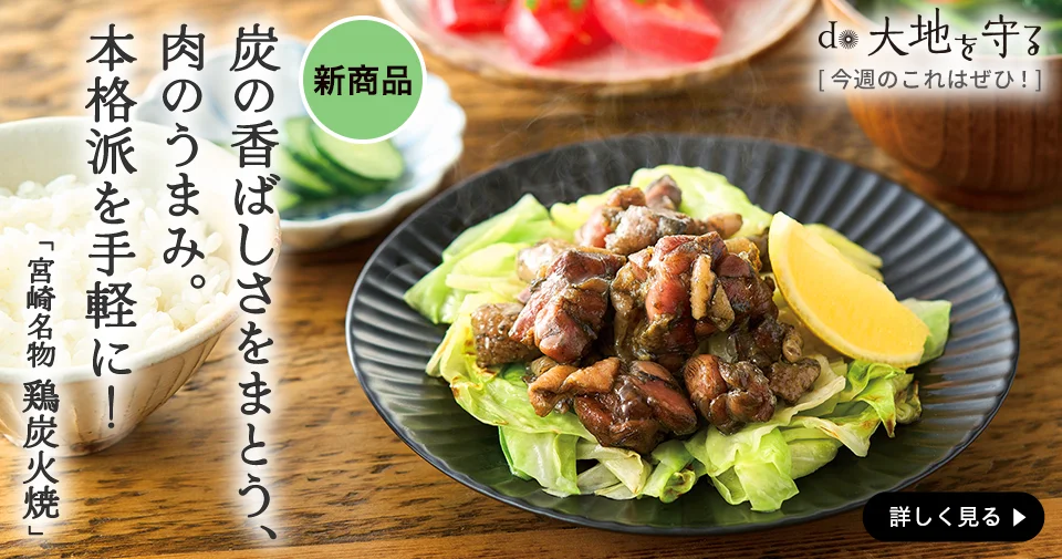 宮崎名物 鶏の炭火焼（食べきりサイズ）