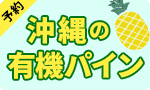 沖縄やんばる有機ハワイパイン