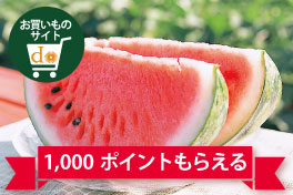 1週間に2回購入