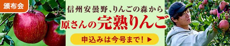 達人原さんの樹上完熟りんご