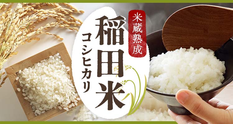 米蔵熟成 稲田米