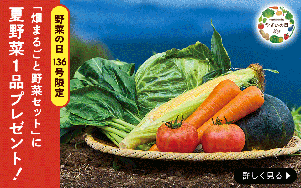 畑まるごと野菜セット・5選