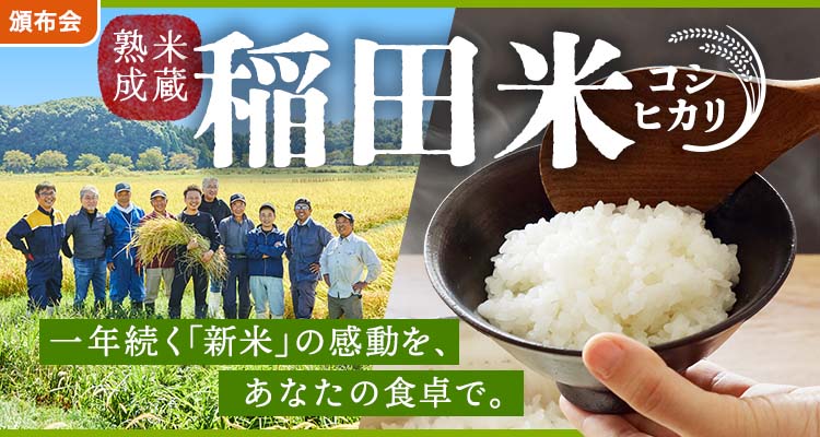 稲田米