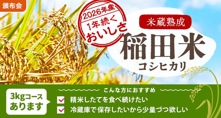 稲田米