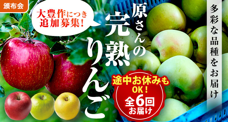 【追加募集】原さんの完熟りんご
