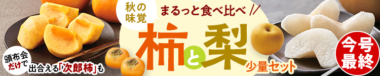 季節のフルーツを堪能！柿＆和梨