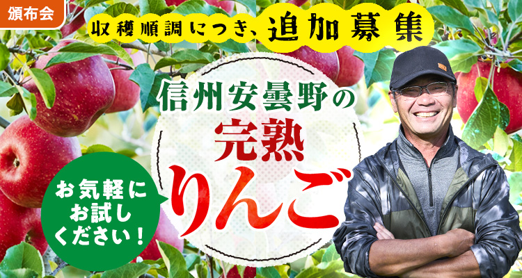 【追加募集】原さんの完熟りんご