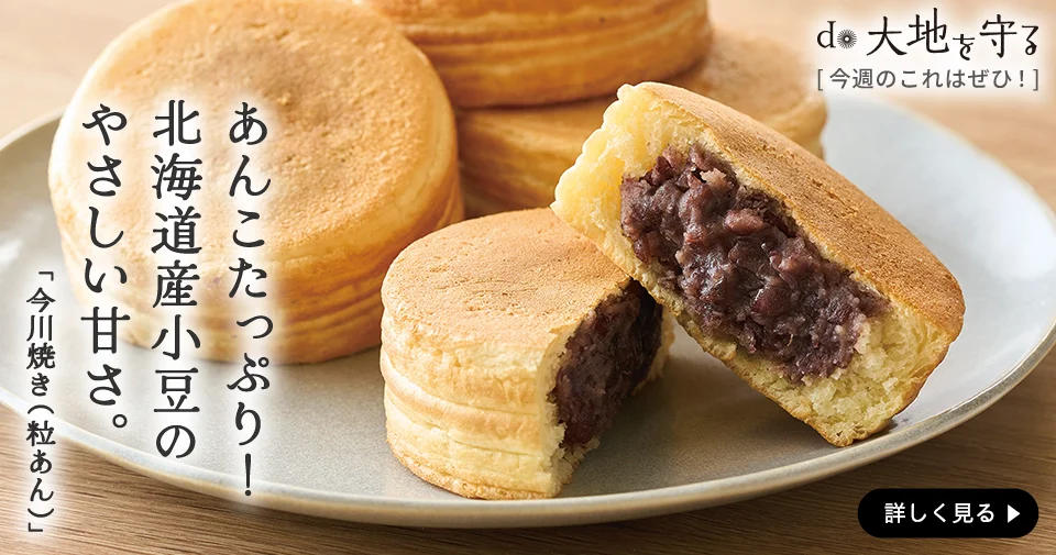 ほっこり懐かしの味 北海道産小豆の今川焼き（粒あん）