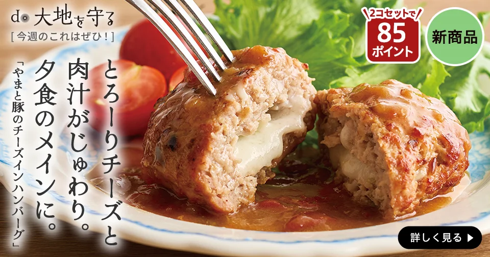 やまと豚のチーズインハンバーグ