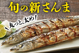 新鮮！旬の新さんま