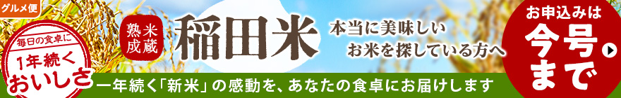稲田米 今号まで