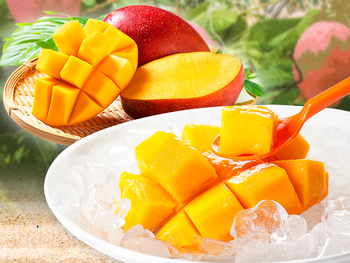 砂川さんの有機マンゴー