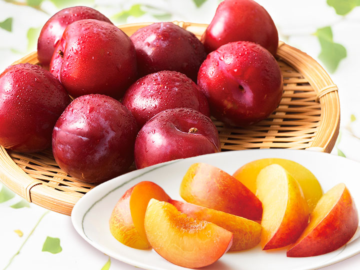 旬を味わう プラム